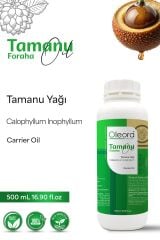 Tamanu Yağı (Tamanu Oil) 500 ml Sabit Yağ