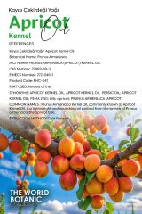 Kayısı Çekirdeği Yağı (Apricot Kernel Oil) 500 ml Sabit Yağ