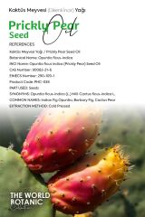 Kaktüs Meyvesi Yağı (Cactus Fruit Oil) 500 ml Sabit Yağ