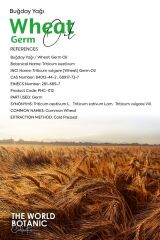 Buğday Yağı (Wheat Oil) 500 ml Sabit Yağ