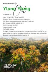 Ylang Ylang Yağı (Ylang Ylang) 250 ml Uçucu Yağ