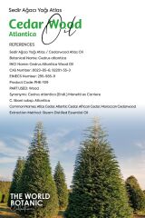 Sedir Ağacı (Atlas) Yağı (Cedarwood Atlas Oil) 250 ml Uçucu Yağ