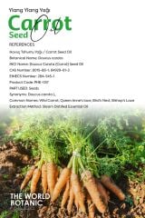 Havuç Tohumu Yağı (Carrot Seed Oi̇l) - 10 ml Uçucu Yağ